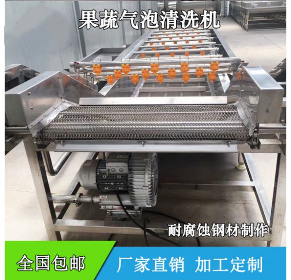 叶菜清洗机 净菜加工蔬菜清洗机 气泡洗鱼洗肉机