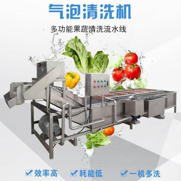水果蔬菜清洗机 气泡清洗机  净菜加工设备